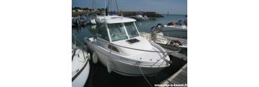 MERRY FISHER 530