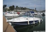 WHITE SHARK 237