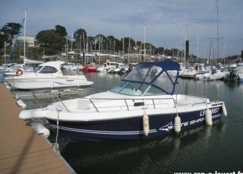 WHITE SHARK 237