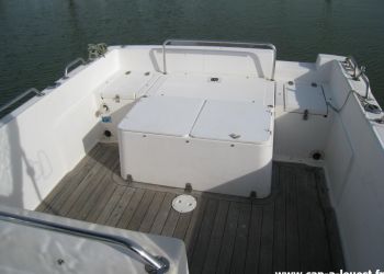 WHITE SHARK 237