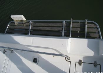 WHITE SHARK 237