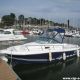 WHITE SHARK 237