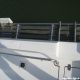 WHITE SHARK 237