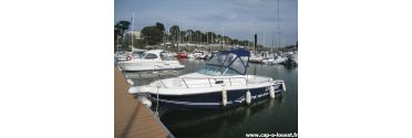 WHITE SHARK 237